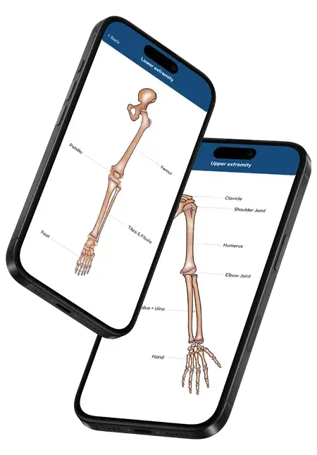 lower and upper extrimty app views into iphone mockup